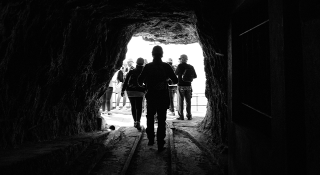 Coal Equities Strong