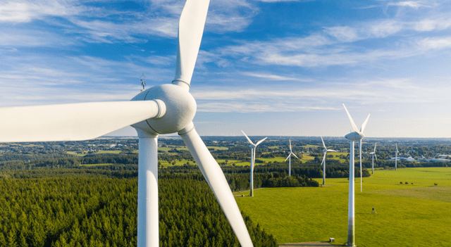 Renewable Energy Shares Jump After Senate Eliminates Excise Tax