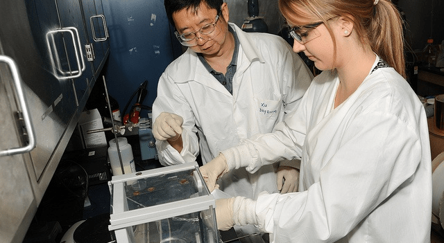 Novo Nordisk Inks $2.2 Billion Deal with Septerna to Advance Obesity and Diabetes Treatments