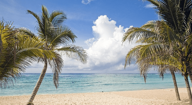 Booking Holdings shares climb 2% after earnings top forecasts on robust travel demand