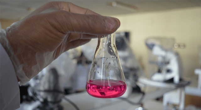 Ideaya Biosciences Shares Jump Following $210 Million Licensing Deal with Servier
