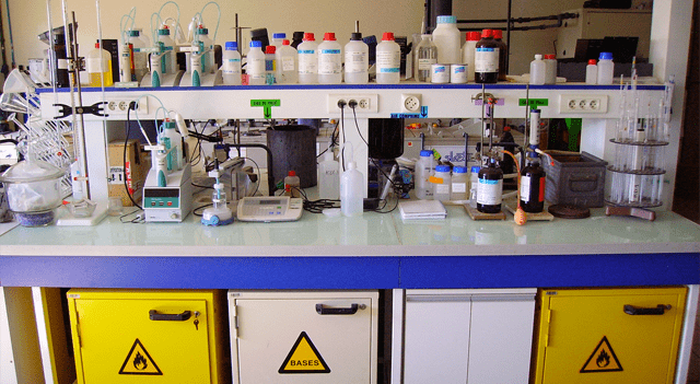 Evogene Shares Decline After Revenue Miss Despite Stronger-Than-Expected Earnings (EVGN)