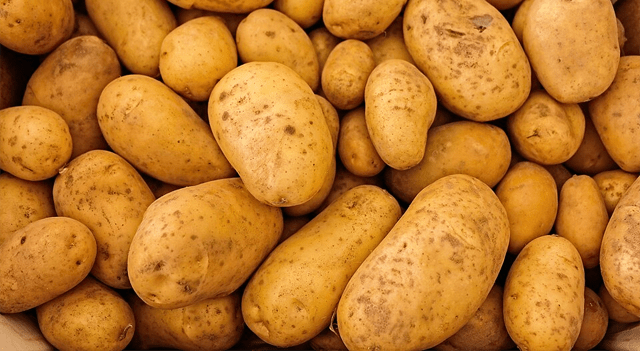 Lamb Weston Shares Jump After Q1 Results Exceed Expectations