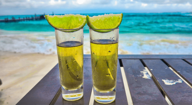 Splash Beverage Shares Gain After Company Highlights Operational Momentum and Expansion Strategy