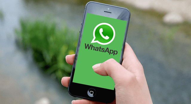 EU Antitrust Regulator Flags Possible Action Against Meta Over AI Access on WhatsApp