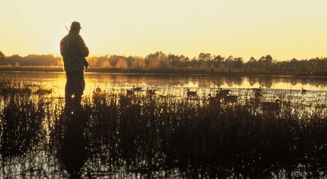 K-Tech Shifts Strategy to Hunting Gear, Targets $60M Revenue by 2027