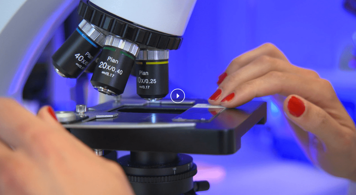 Q32 Bio Secures $55 Million Private Placement to Advance Alopecia Areata Pipeline (QTTB)