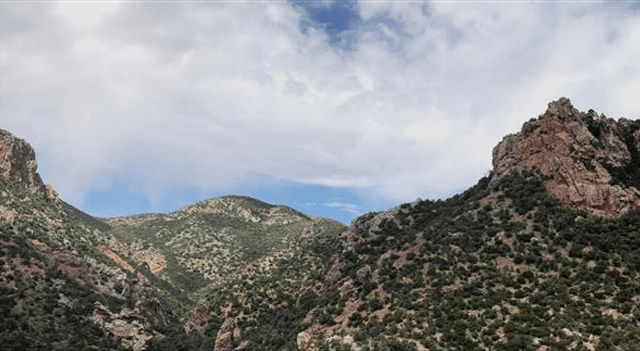 Barksdale hits broad, high‑grade copper in early 2026 Sunnyside drilling