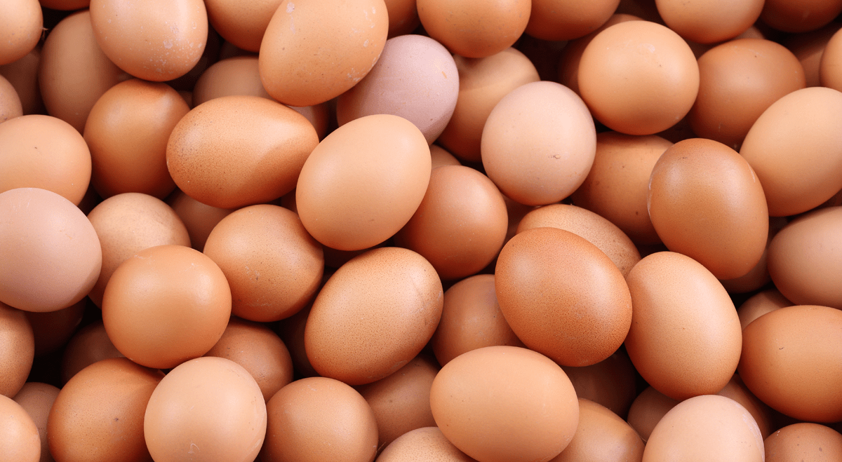 Cal-Maine Foods shares slide after fourth-quarter earnings miss (NASDAQ:CALM)