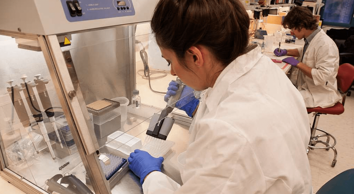 Imunon Secures $10 Million Funding Package to Advance Phase 3 Ovarian Cancer Study (IMNN)