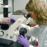 Boston Scientific Beats Second-Quarter Expectations as Sales Growth Lifts Shares