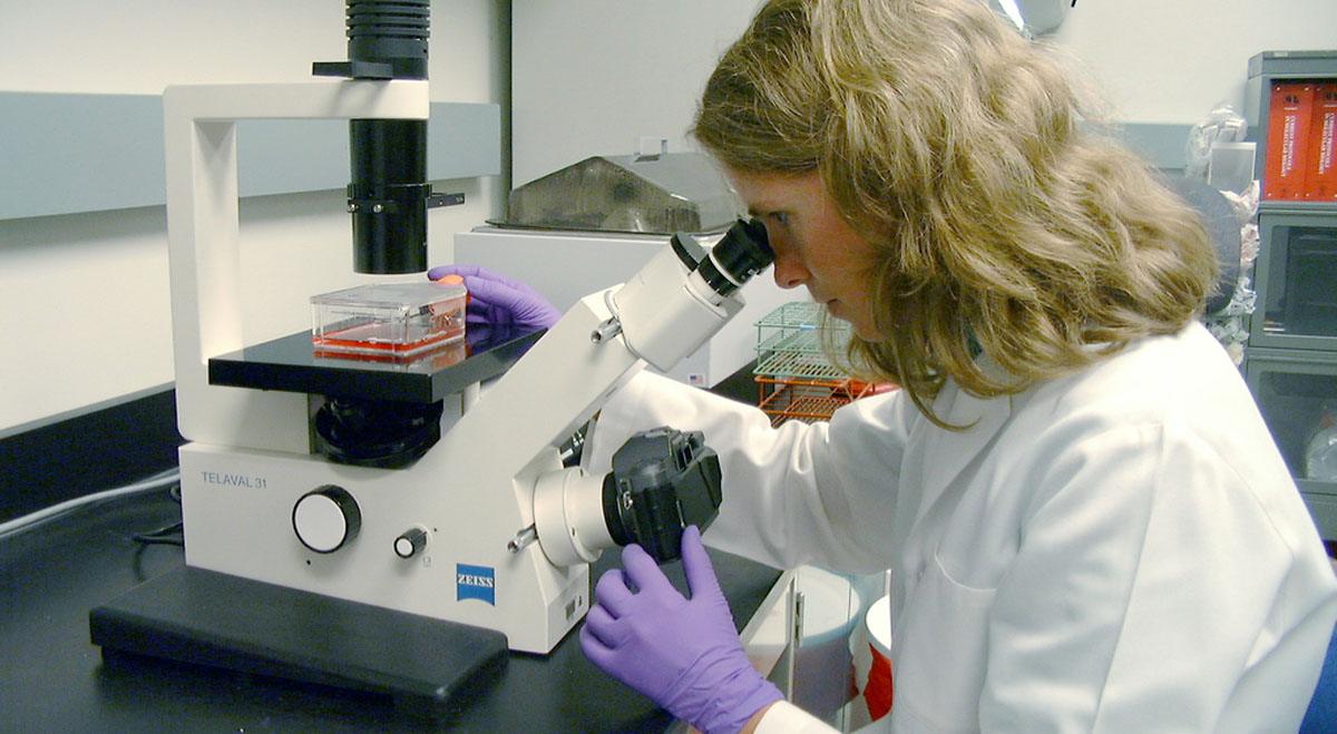 Spero Shares Jump After FDA Clears First Oral Carbapenem Antibiotic for U.S. Market (SPRO)