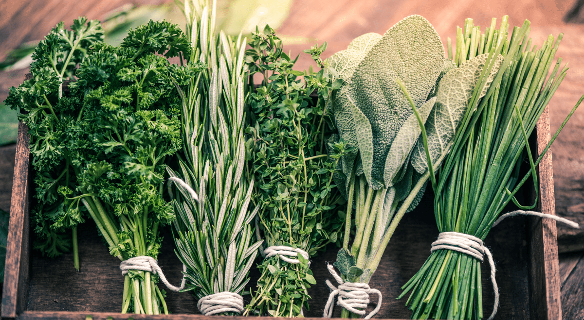 Edible Garden expands Walmart distribution for fresh herbs across the Mid-Atlantic