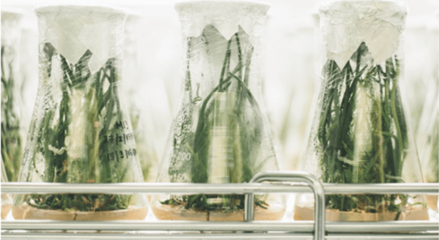 Building a scalable future in sustainable agriculture