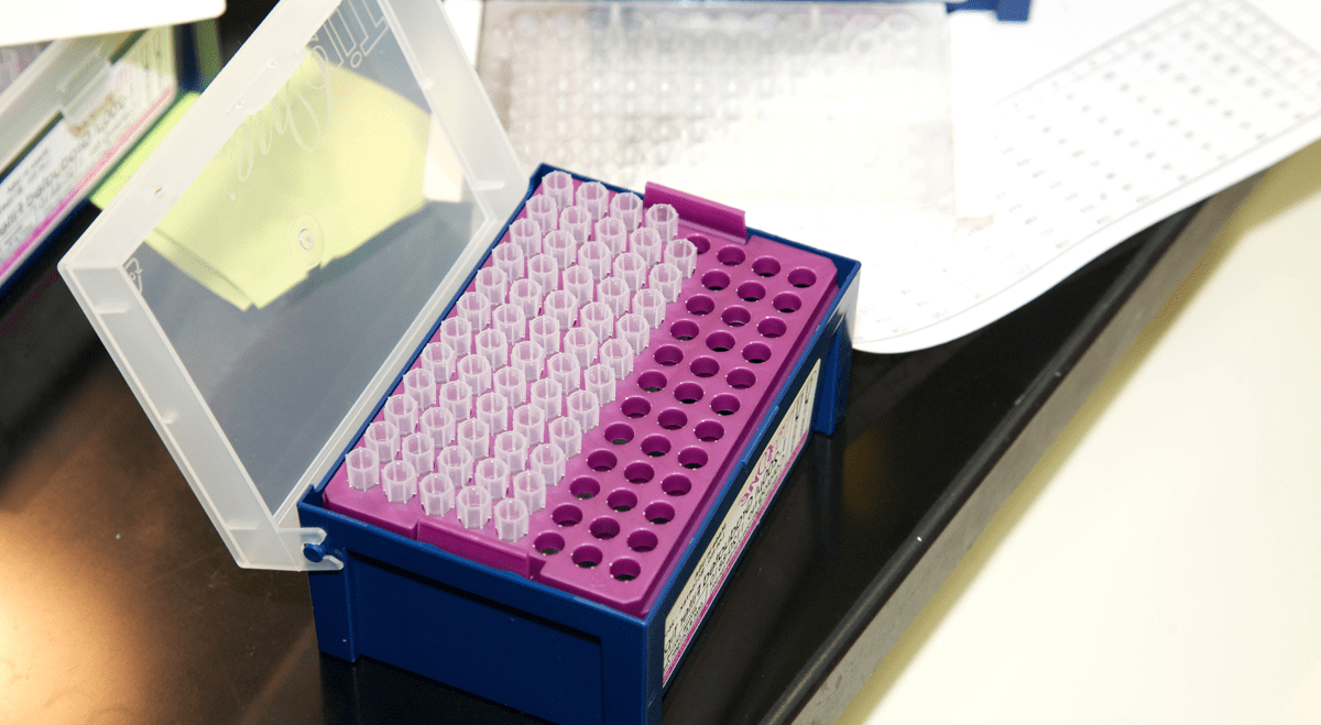 Pyxis Oncology shares fall 7% despite updated MICVO trial results
