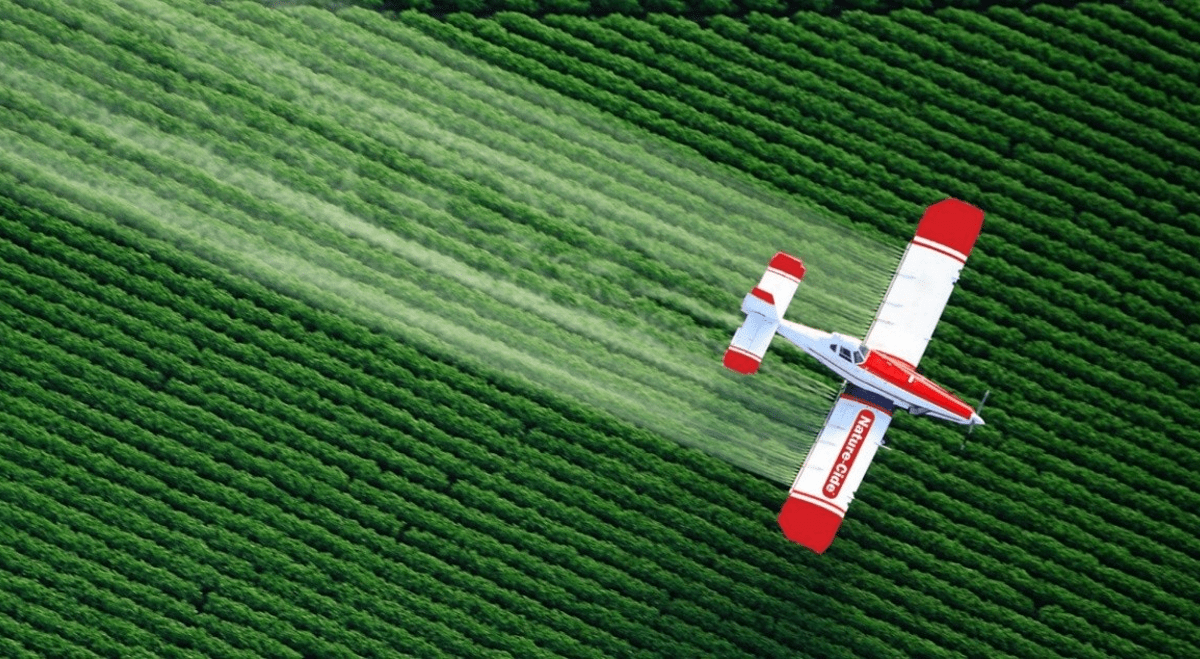 Med-X, Inc.: Building a natural alternative in a chemical world